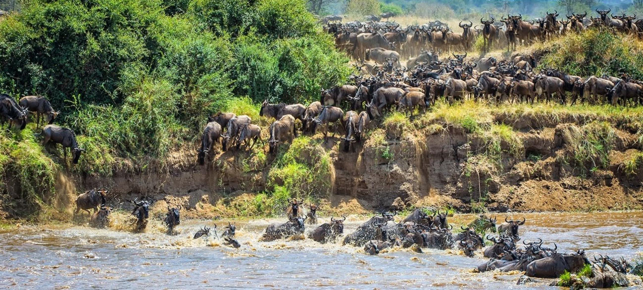 8-Days Mid-Range Ndutu Migration Footsteps 1 Lake Ndutu Migration Southern Serengeti