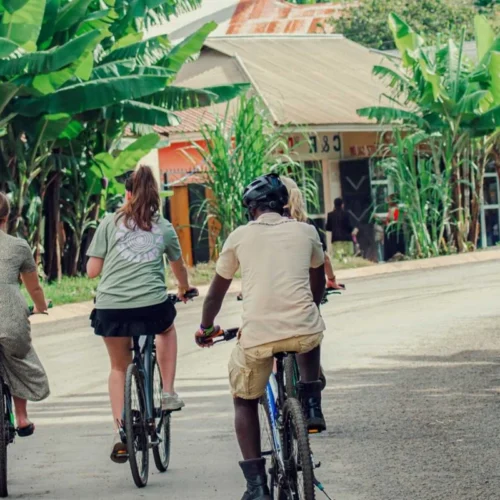 Mto Wa Mbu village Tour